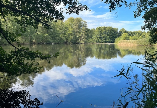 23-09-21 13-28-38 7198